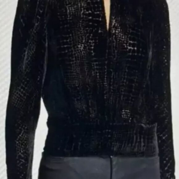 Frame Puff Sleeves Velvet Burnout Blouse - Picture 9 of 9